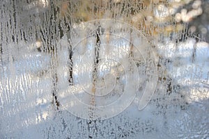 Winter view through frosted glass.