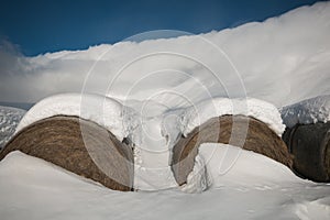 Winter view of hay bales with snow in the Pian Grande near Castelluccio di Norcia, Umbria photo