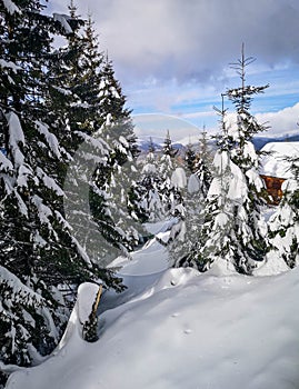 Winter view from a lodge in the mountains with evergreen trees covered in snow and cloudy skies, in Ranca, Romania