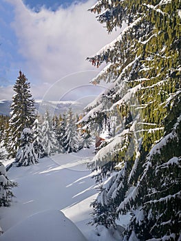 Winter view from a lodge in the mountains with evergreen trees covered in snow and cloudy skies, in Ranca, Romania