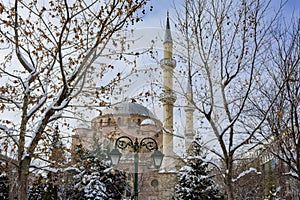 Winter view of the mosque and trees in Eskisehir