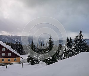 Winter view overlooking a lodge in the mountains surrounded by evergreens and snow on a cloudy day, in Ranca resort, Romania