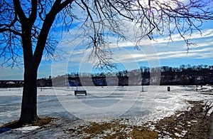 Winter View By The Park Bench