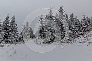 Winter view of a path at Suchy vrch mountain, Czech Republ