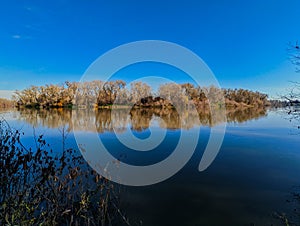 Winter view of Sacramento river shoreline on a clear winter day