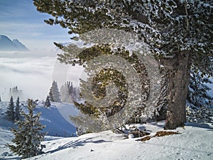 Winter view from the slopes in Alps.