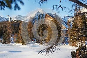 Winter view of the Strbske pleso village with hotel, coniferous forest and snowy peaks.