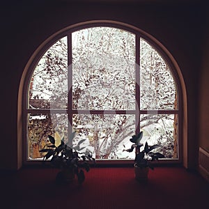 Winter view window