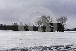 Winter view of the wooden house and the trees in Petrie Island Area near Ottawa River