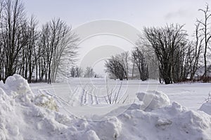 Winter view of the wooden house and the trees in Petrie Island Area near Ottawa River