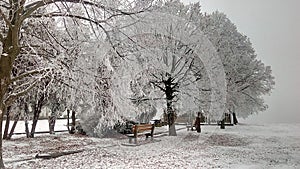 Winter in a village. Abandoned bench covered by snow.