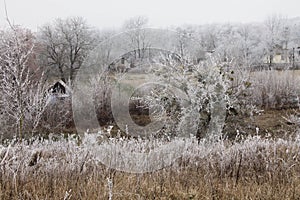 Winter in the village