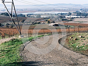Winter Vineyard Landscape, Napa Valley, California