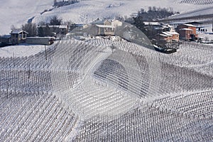 Winter vineyards and village