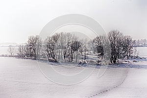 Winter in Vojvodina photo