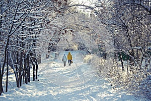 Winter walk photo