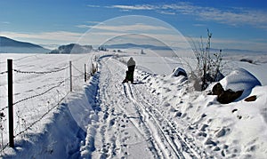 Winter walk