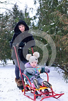 Winter walk with a child: mom rolls her little daughter on a sled in a winter snowy forest