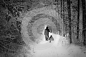 Winter walk: dad sledging with son. Father pulling sled with son in snowy day. Man and child enjoy ride and smile