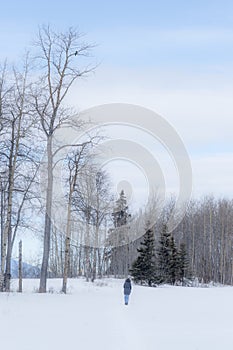 Winter Walk - Dreamy Winterworld