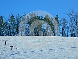 A winter walk in the snow