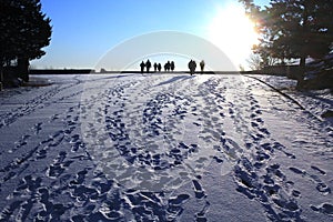 Winter Walking People