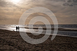 Winter walking on wide sandy beach of North sea near Zandvoort in Netherlands