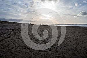 Winter walking on wide sandy beach of North sea near Zandvoort in Netherlands