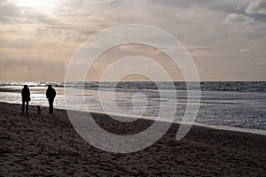 Winter walking on wide sandy beach of North sea near Zandvoort in Netherlands