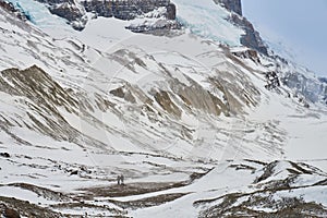 Winter walks in the Colombia icefields