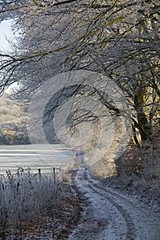 Winter walks down a country lane.