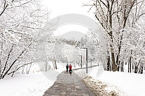Winter walks in the snow-covered city