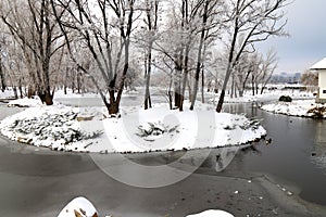 Winter water landscape. Trees covered with snow and frost stand on a picturesque river, pond, lake, forest or park on cold, frosty