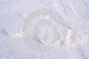 Winter wavy background of snowy surface. Natural snow texture. Horizontal format. Copy space.