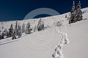 Winter way running onto hill top