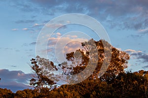 Winter weather at sunrise on the Garden Route