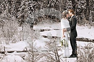 Winter wedding