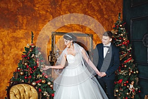 Winter Wedding .Lovers bride and groom in christmas decoration . Groom holding Gift . romantic surprise for Christmas
