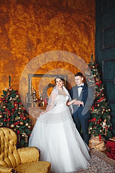 Winter Wedding .Lovers bride and groom in christmas decoration . HGroom and bride together. couple hugging. Wedding day.