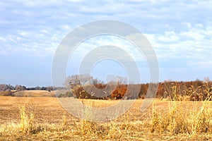 Winter Wheat Golds, Autumn Trees Auburn, Rolling Hills Form a Visual Delight