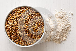 Winter wheat kernels