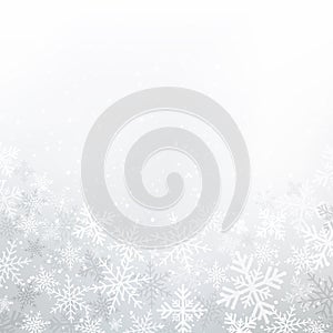 Winter white background christmas made of snowflakes and snow wi