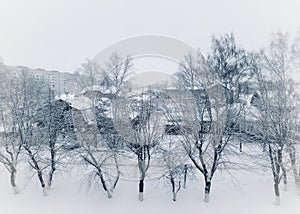 Winter white city