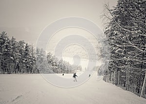 Winter white ski resort