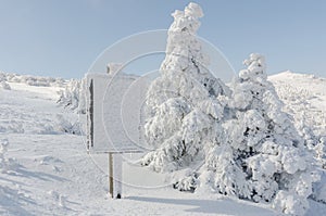 Winter white snow. Christmas background with snowy fir trees the most beautiful landscape,Sobaeksan Mountain in Korea