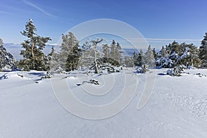 Winter wiew of Vitosha Mountain, Bulgaria