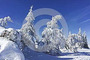 Winter wiew of Vitosha Mountain, Bulgaria