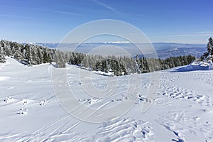 Winter wiew of Vitosha Mountain, Bulgaria