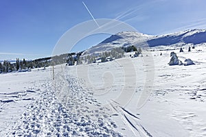 Winter wiew of Vitosha Mountain, Bulgaria