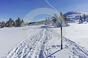 Winter wiew of Vitosha Mountain, Bulgaria